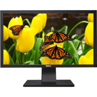 Monitor Second Hand Profesional Dell P2411HB, 24 Inch LED Full HD, VGA, DVI, USB